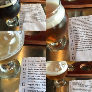 Ocean Sun Brewing (27)