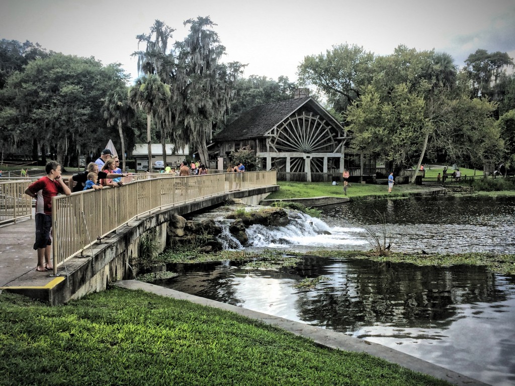 Orlando Urban Yogini DeLeon Springs State Park a Central Florida Eco